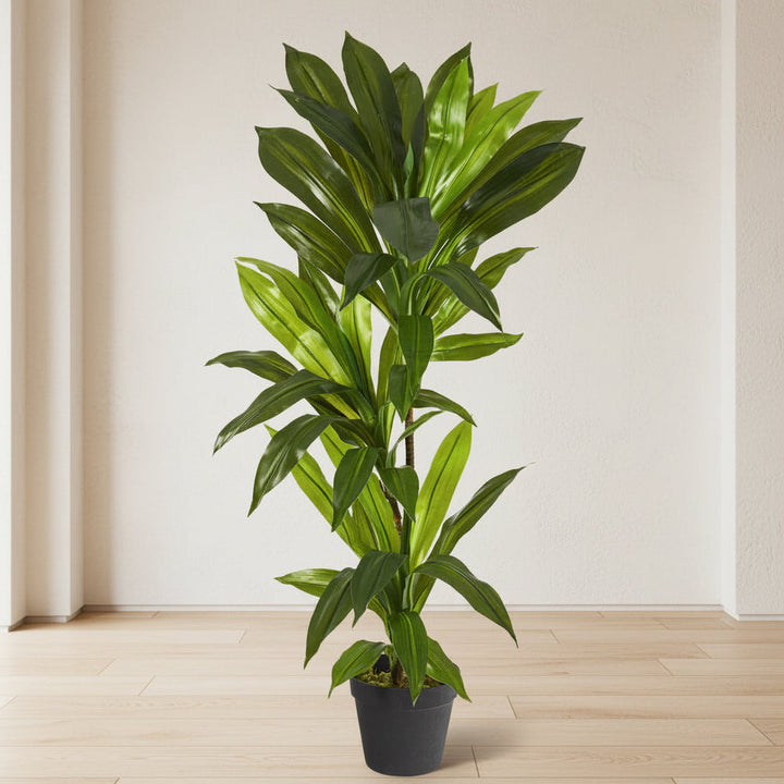 Dracaena Plant - Realistic Faux