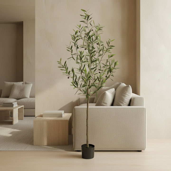 European Olive Tree - Realistic Faux