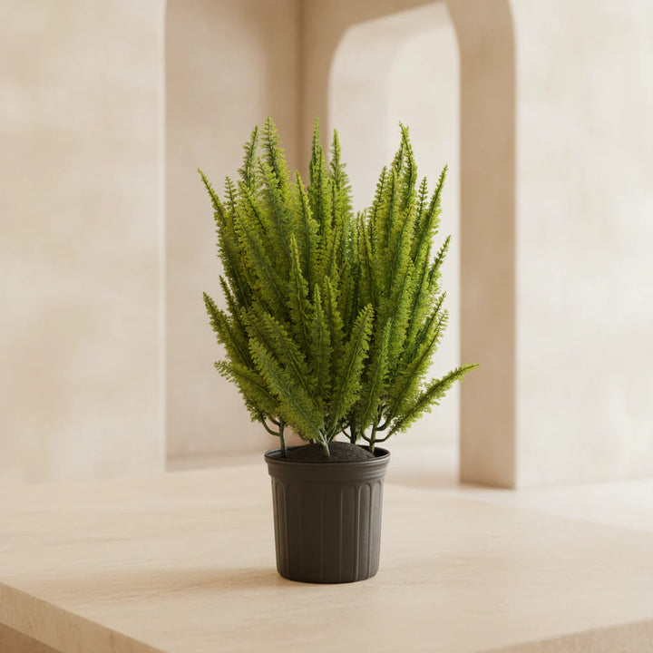 Foxtail Fern - Realistic Faux