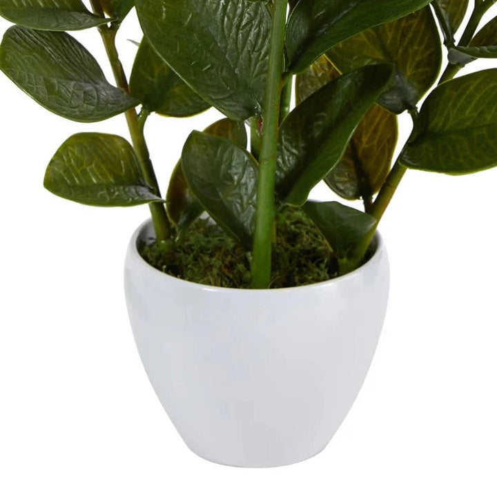 Lush ZZ Plant in Planter - Realistic Faux