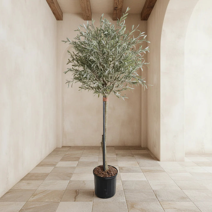 Olive Topiary Tree - Realistic Faux