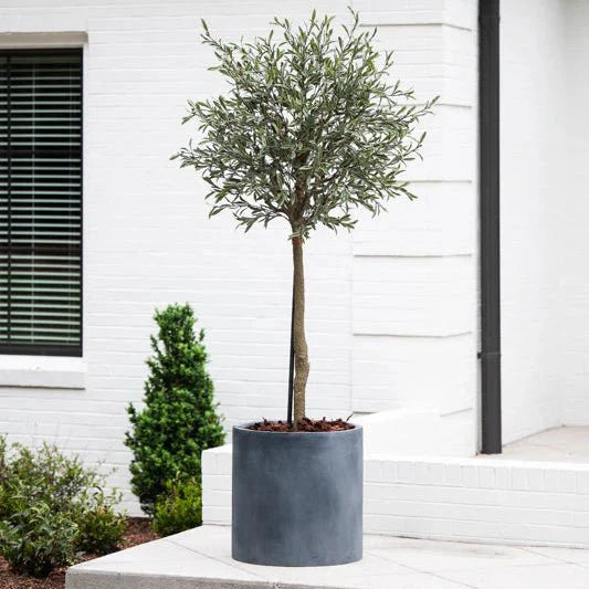 Olive Topiary Tree - Realistic Faux