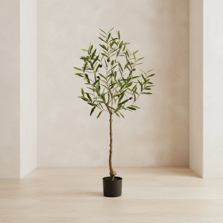 European Olive Tree - Realistic Faux