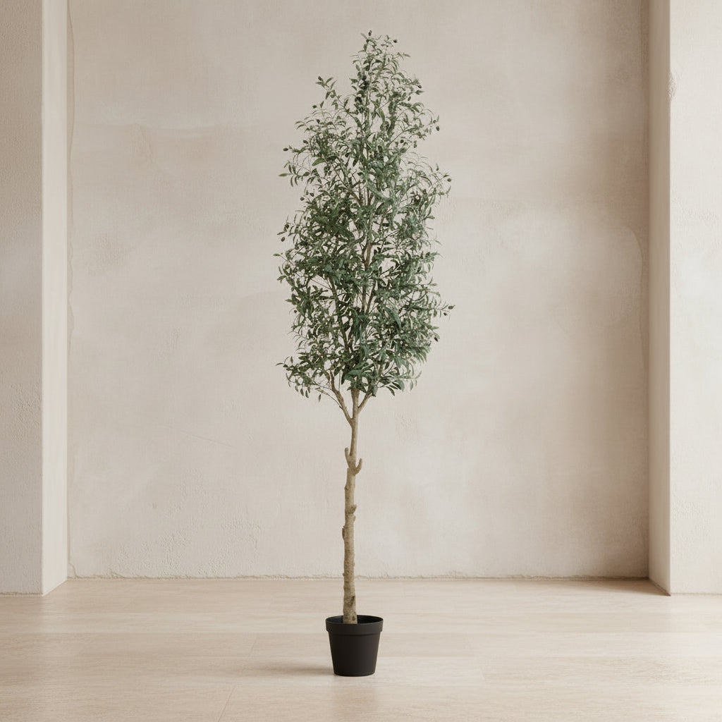 European Olive Tree - Realistic Faux