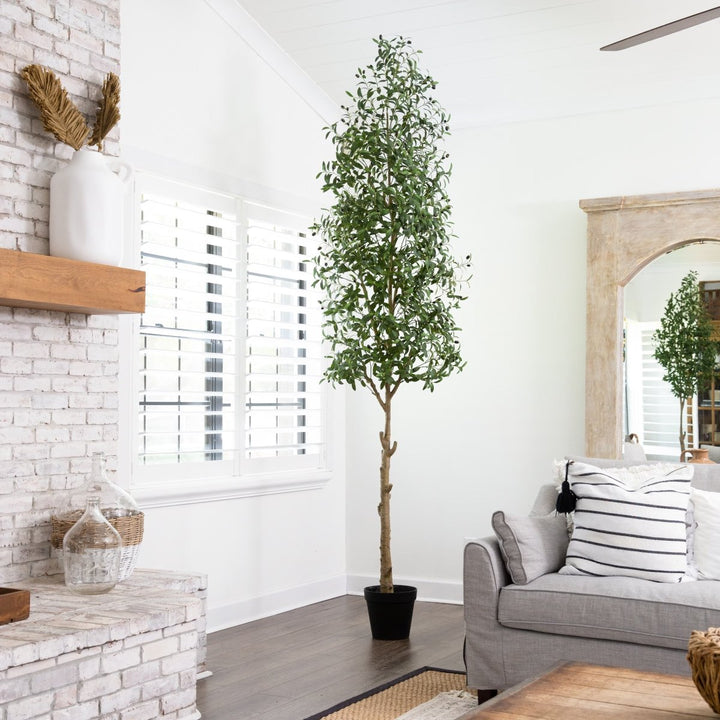 European Olive Tree - Realistic Faux
