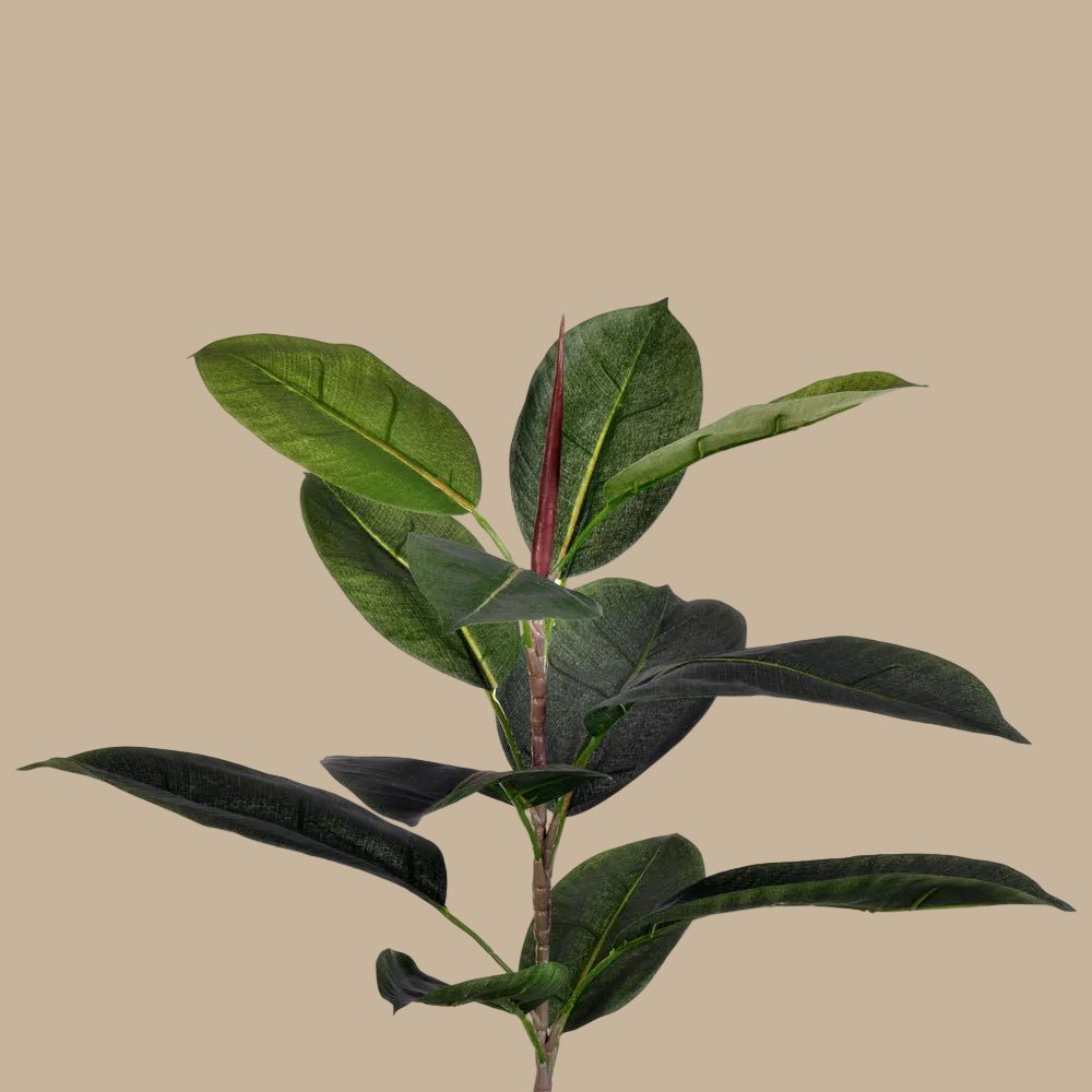Rubber Tree - Realistic Faux