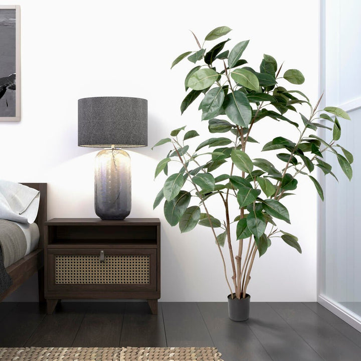 Rubber Tree - Realistic Faux