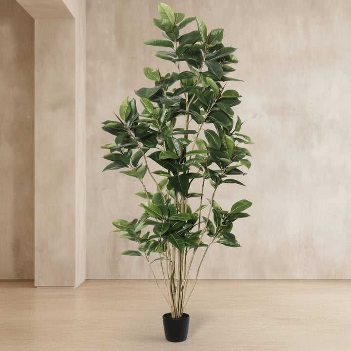 Rubber Tree - Realistic Faux