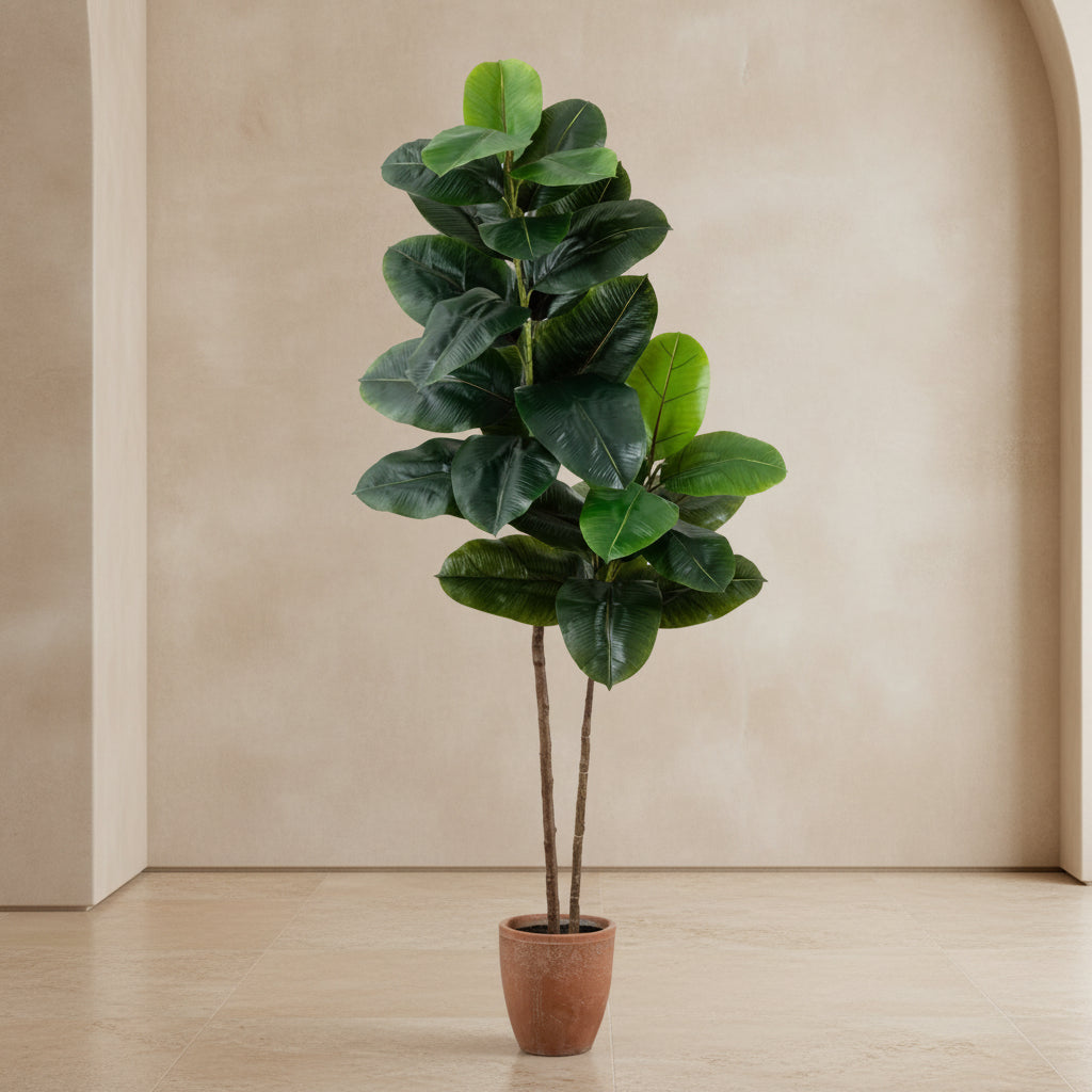 Rubber Tree - Realistic Faux
