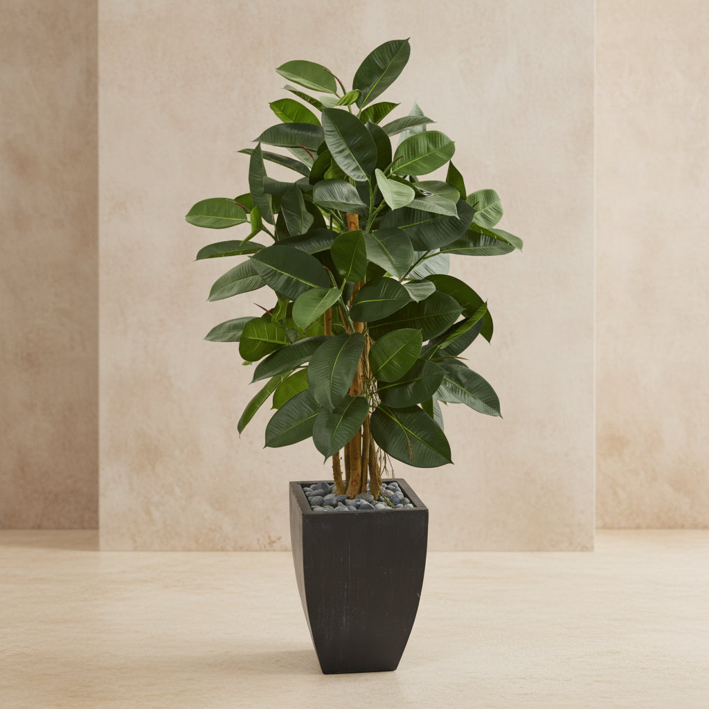 Rubber Tree - Realistic Faux