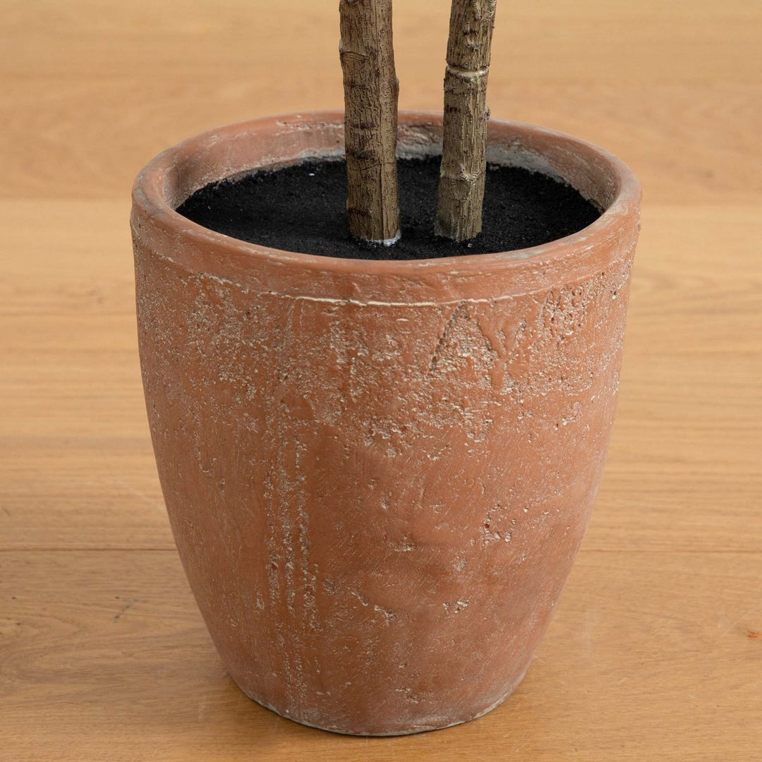Rubber Tree - Realistic Faux