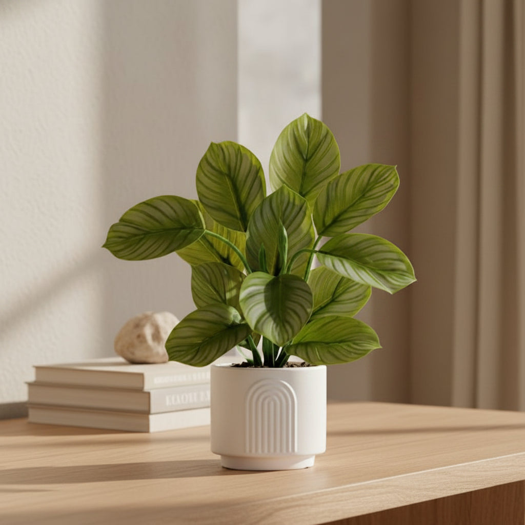 Striped Calathea Plant - Realistic Faux