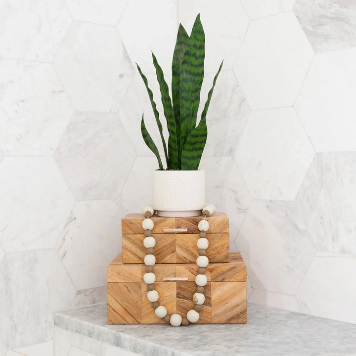 Tabletop Sansevieria Snake Plant  - Realistic Faux