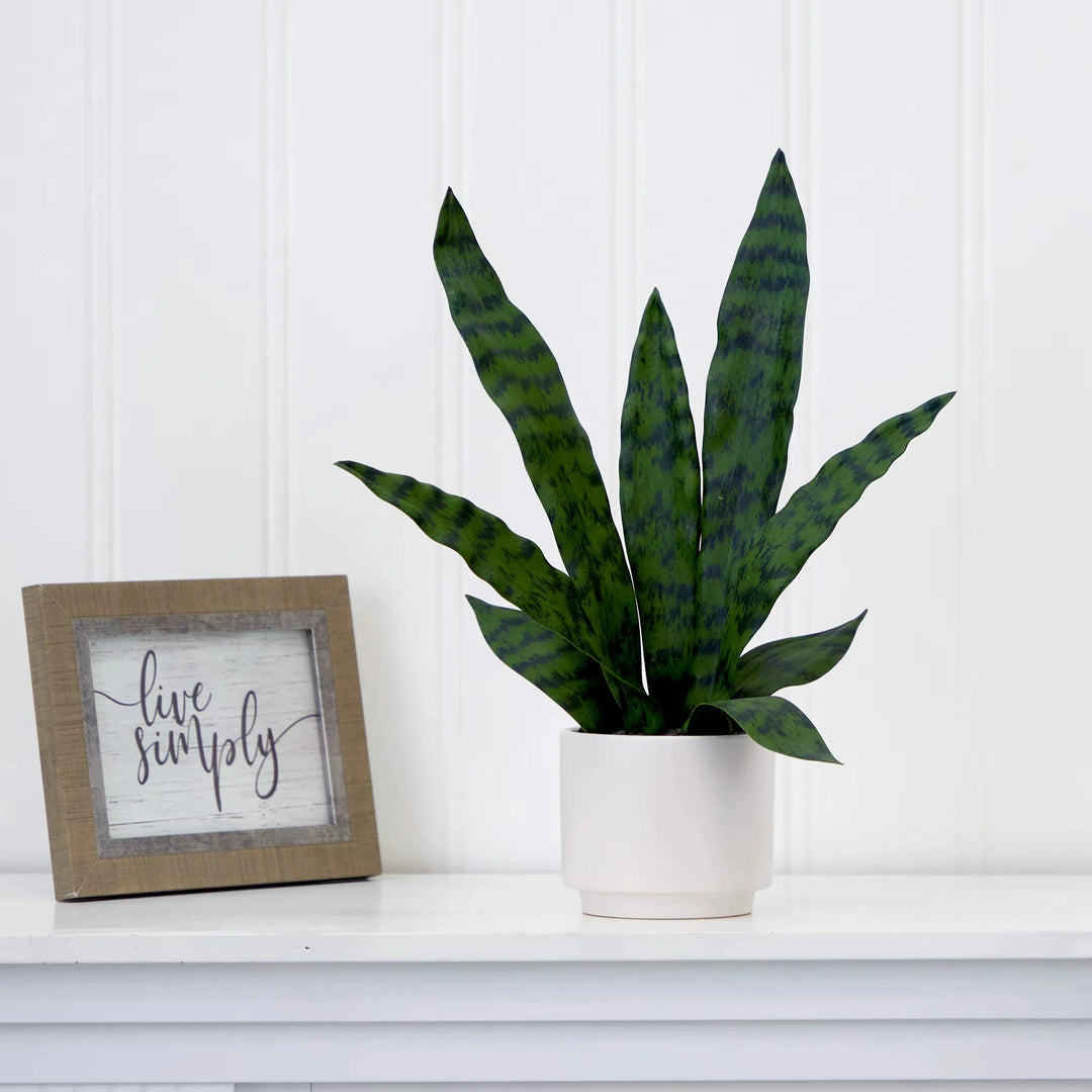 Tabletop Sansevieria Snake Plant  - Realistic Faux