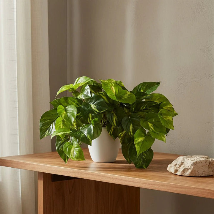 Trailing Pothos Plant - Realistic Faux