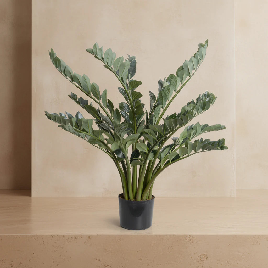 ZZ Plant (Zamioculcas) - Realistic Faux