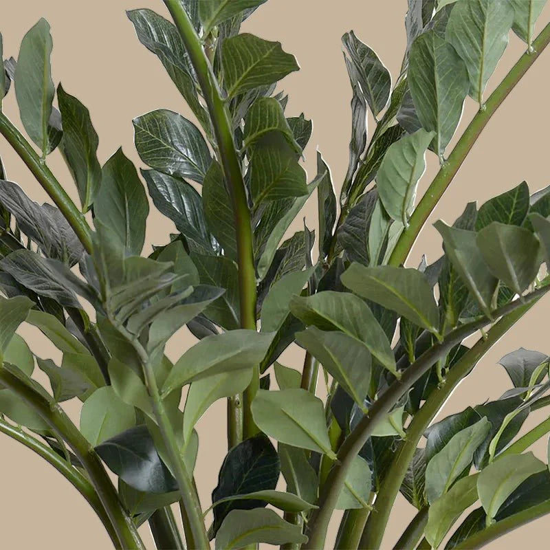 ZZ Plant (Zamioculcas) - Realistic Faux